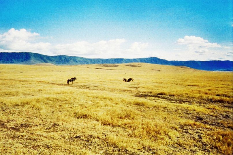Ngorongoro_26
