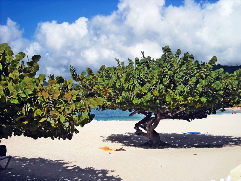 Grand Anse (Parroquia de Saint George, Granada)