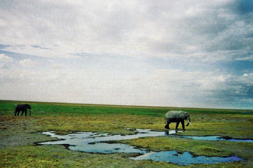 Amboseli_09