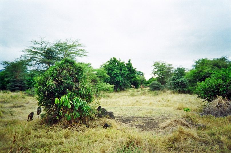 Manyara_06