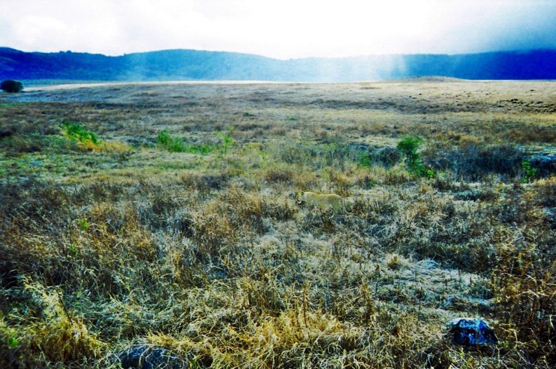 Ngorongoro_06