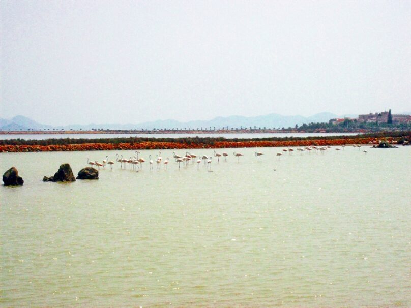 Salinas y Arenales de San Pedro (Región de Murcia)