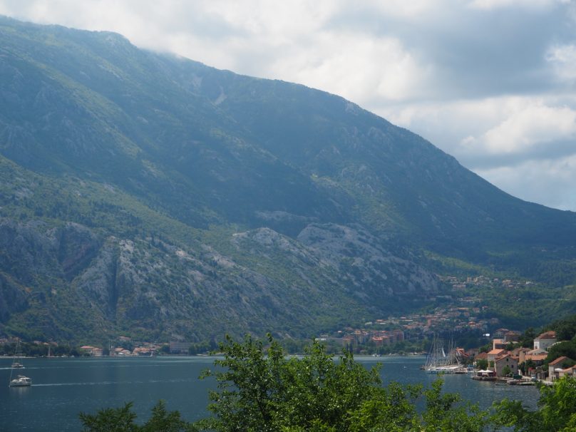 Kotor_Rose_Viaja