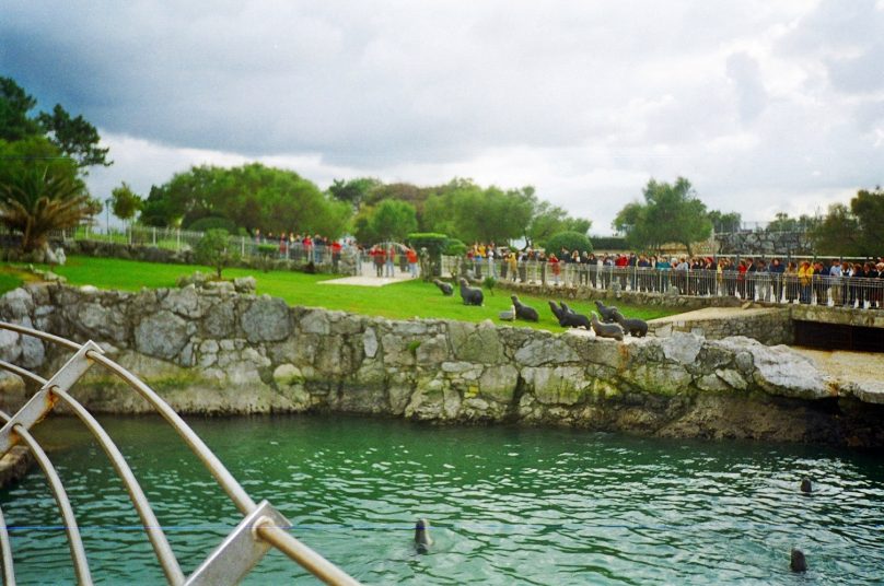 Parque de la Naturaleza de Cabárceno (Municipio de Penagos, Cantabria)