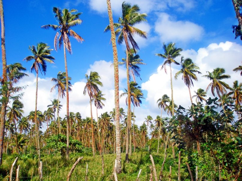 Tongatapu (Tonga)