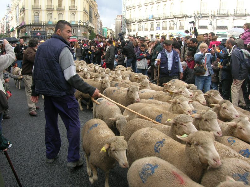 Cañadas Reales (por Jorge Sánchez)