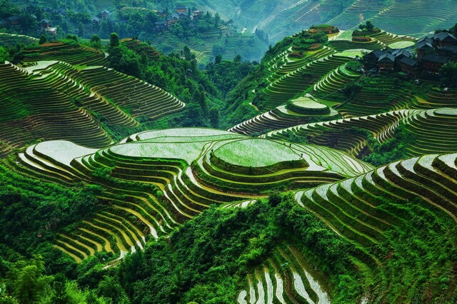 Banaue (por Jorge Sánchez)