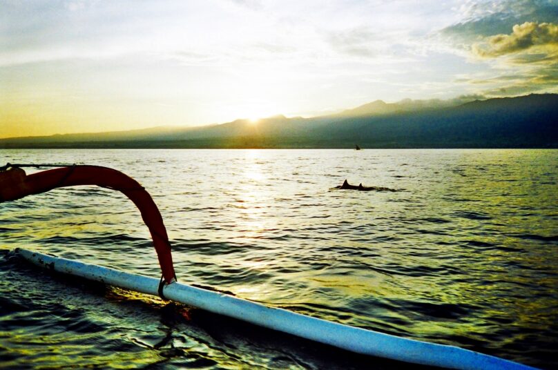 Delfines en Lovina (Subdistrito de Bali, Indonesia)