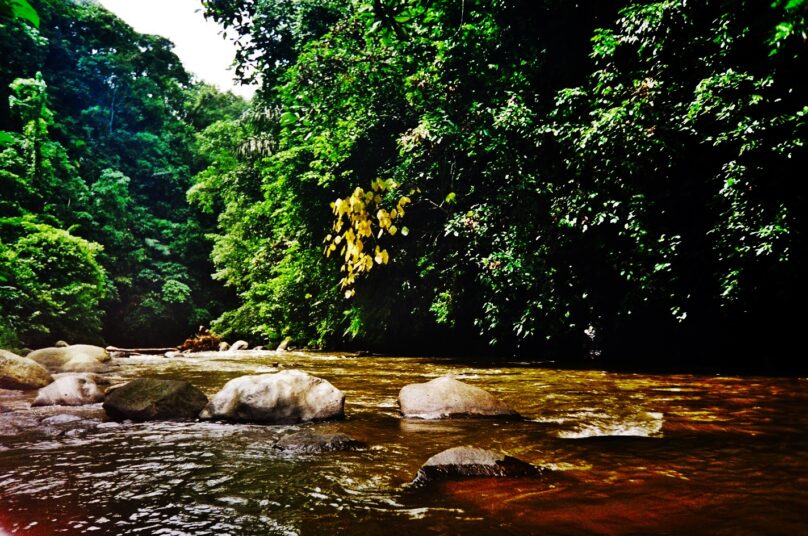 Río Ayung (Subdistrito de Bali, Indonesia)