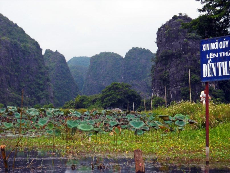 Delta del Río Rojo (Vietnam)