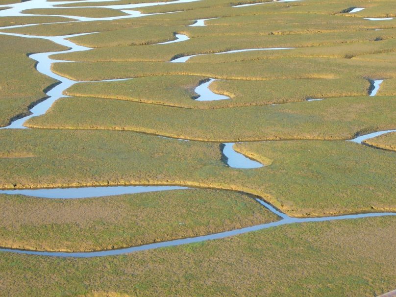 Marismas del Odiel (Andalucía)