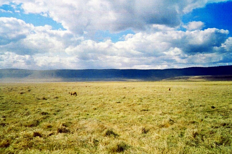 Ngorongoro_23