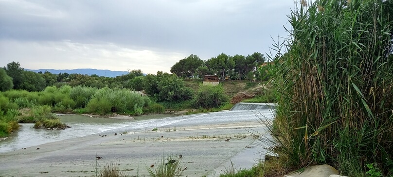 Retando a las aguas