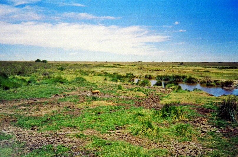 Serengeti-Ngorongoro (Tanzania)