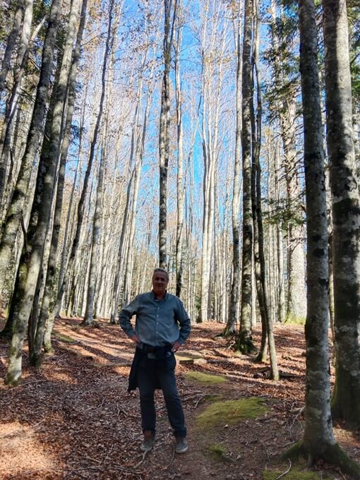 Bosques antiguos y primarios de hayas de los Cárpatos y otras regiones de Europa (por Jorge Sánchez)