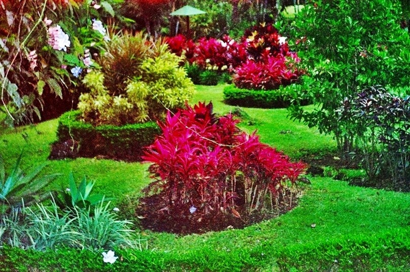 Agua y Paz (Costa Rica)