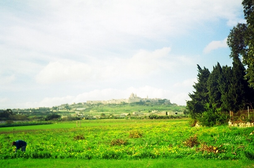 Mdina (Región Norte, Malta)