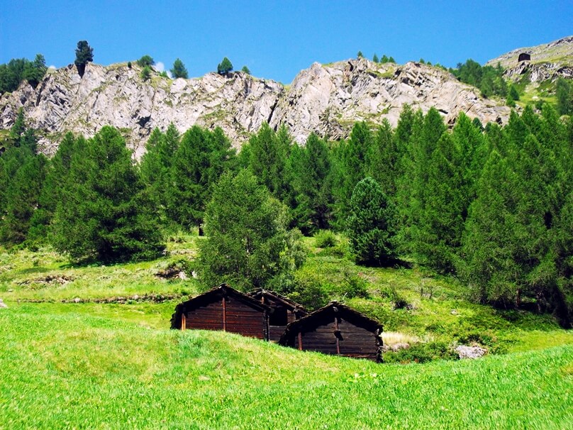 Temporada de pastos alpinos (Suiza)