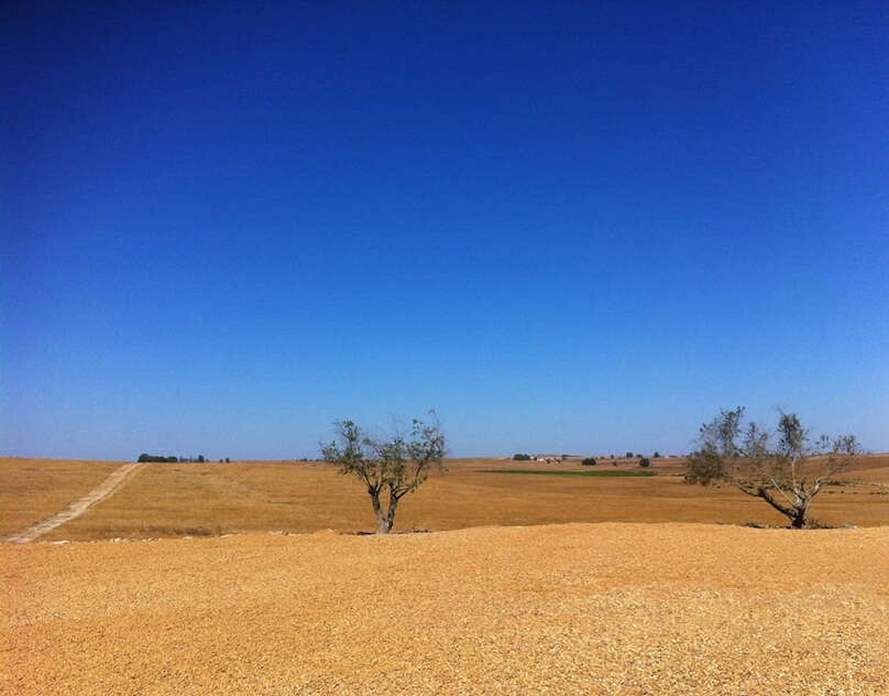 Castro Verde (Distrito de Beja, Portugal)