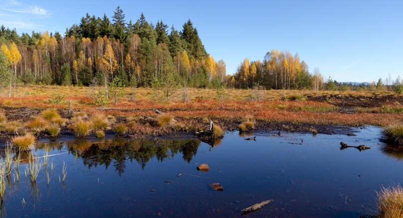 Šumava (República Checa)