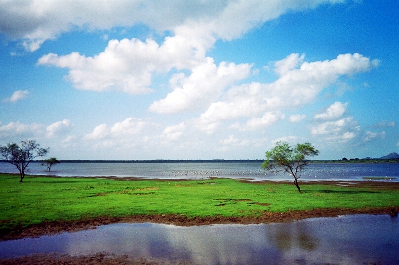 Kandalama_01